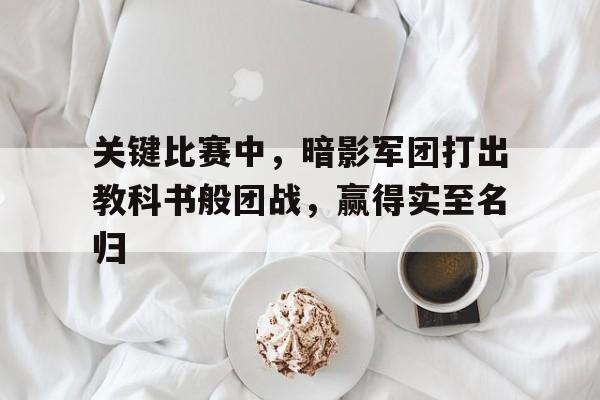 关键比赛中，暗影军团打出教科书般团战，赢得实至名归的简单介绍
